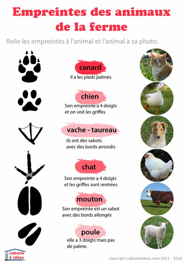 10 animaux à faire avec les empreintes de pied ou de main
