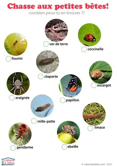 Peinture au doigt : peindre des insectes - Cabane à idées